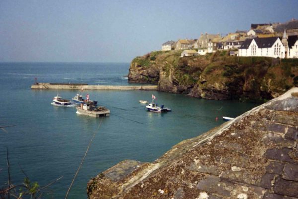 Boats in the harbour