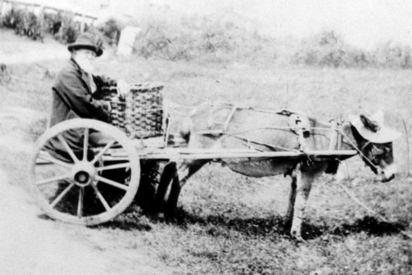 Fish seller, Johnny May, c1910