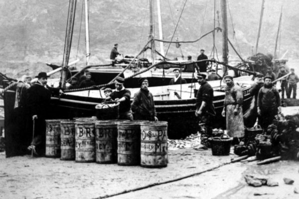 Landing fish from the 'King Edward', c1905