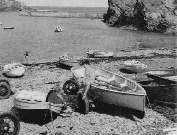 Mackerel Fishing