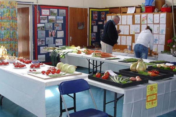 Port Isaac Garden Show entries, August 2006