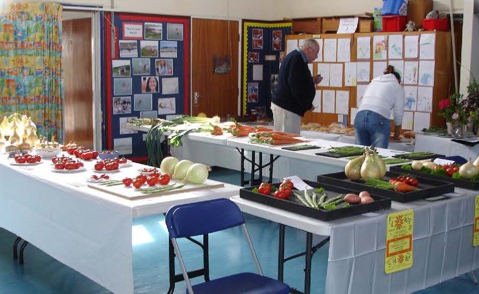 Port Isaac Garden Show entries, August 2006