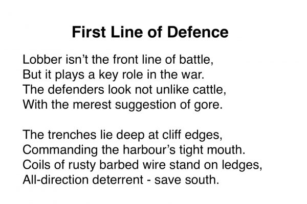 First Line of Defence