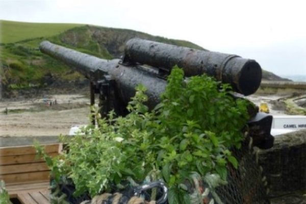 The Gun in the Bloody Bones Yard